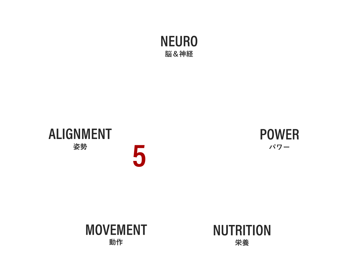 5 CONCEPTS